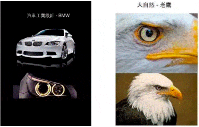 1203f7779864435582d9e6ed8db14dc9.gif