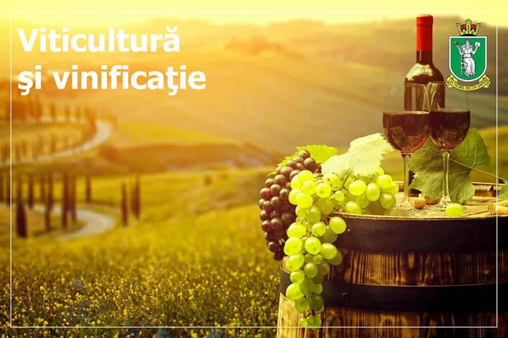 科技|1000美金一学期,摩国葡萄酒专业文凭get!