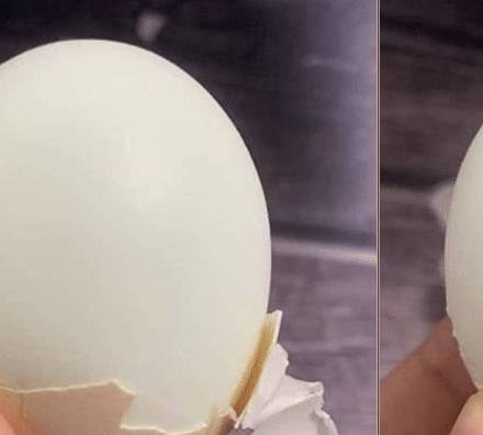 肝脏|早上爱吃煮鸡蛋的人，长寿不会远离你，但切记“2不”，早知早好