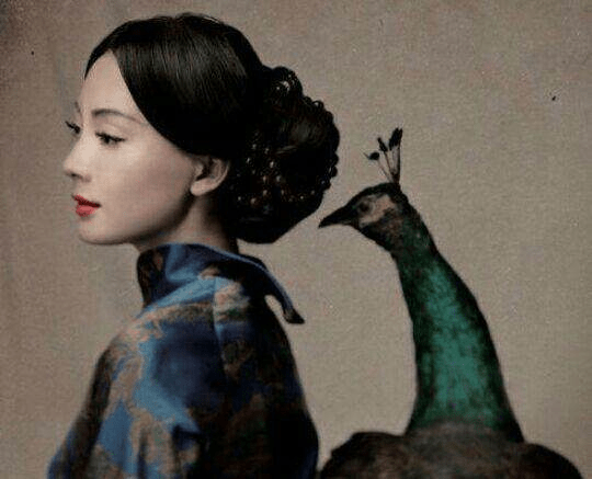 Pick|女星旗袍大赏：赵丽颖、杨幂、热巴、刘亦菲，你Pick谁？