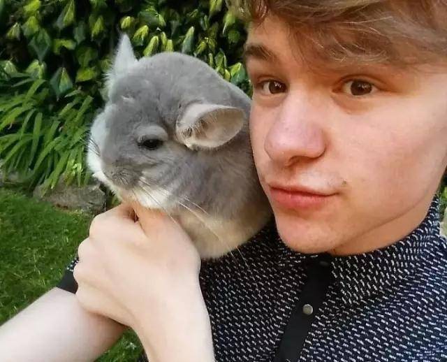 龙猫|比圆, 谁比的过龙猫