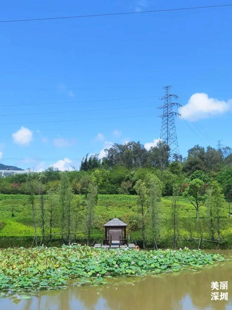 暑假去哪兒 | 來大鵬這條小眾綠道,開啟宮崎駿筆下的治癒夏天!_於禾塘