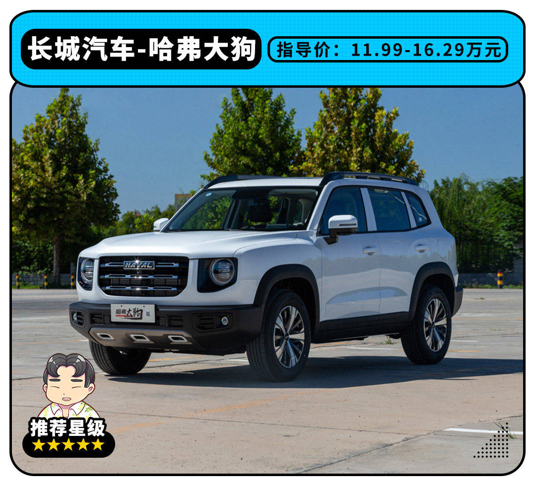 坦克300小弟这哈弗suv只要1199万起火到连现车都没有