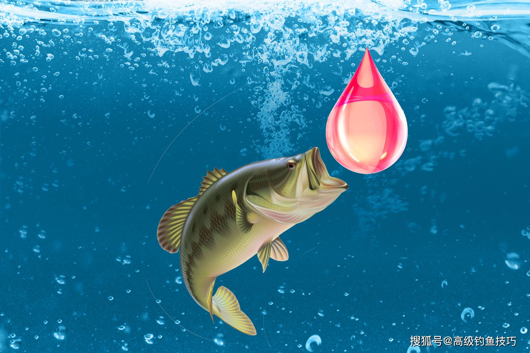 怎样给鱼促食?鱼类的促开口机制和促开口方法