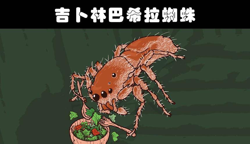 细数世界各地存在的10大奇怪的毒蜘蛛 尾园