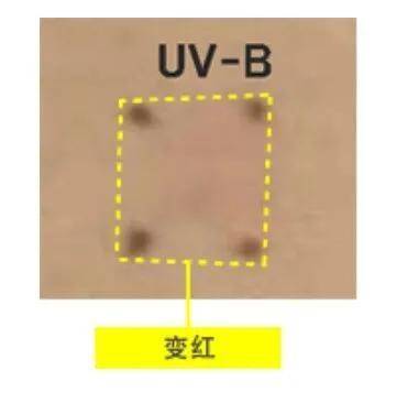 产品|涂防晒霜真的有用么？为什么感觉涂了还是变黑了？