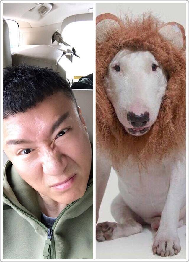 着一点逗比气质,不过小编还是想起了黄渤那句话——孙红雷,绿豆眼睛