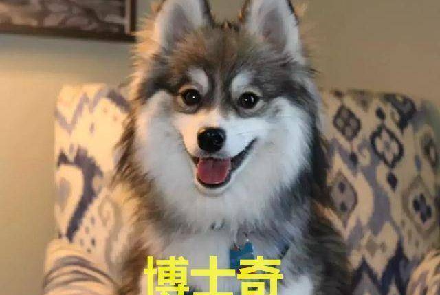 4a538b6c777a43adba337c9ecd094a6e.jpeg