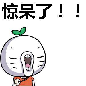 毛孩|逛宠物店看见一只小斗牛,不停蹦跶,脚下竟是柯基的帅脸!