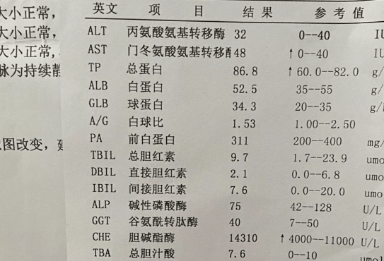 血压报告单图片