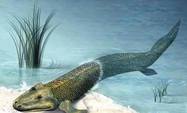 梦境迷踪，解读做梦梦见捉到没有尾巴的鱼的深层含义