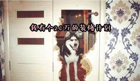 二哈帶給你的絕望不止是拆家, 還有直播撕錢, 網友: 喝狗肉湯咯 萌趣萌寵 第1张