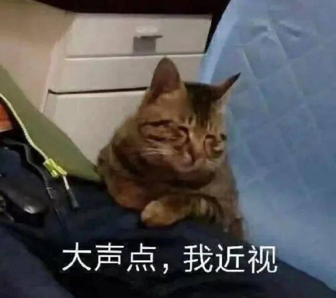 油脂|减到38kg还是丸型臂？女明星真的别瞎炒作体重了吧…