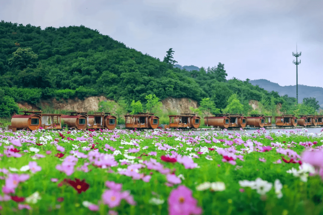 摄影|花式避暑，一见“清”心！只需一瞥，便足以把酷夏原谅…