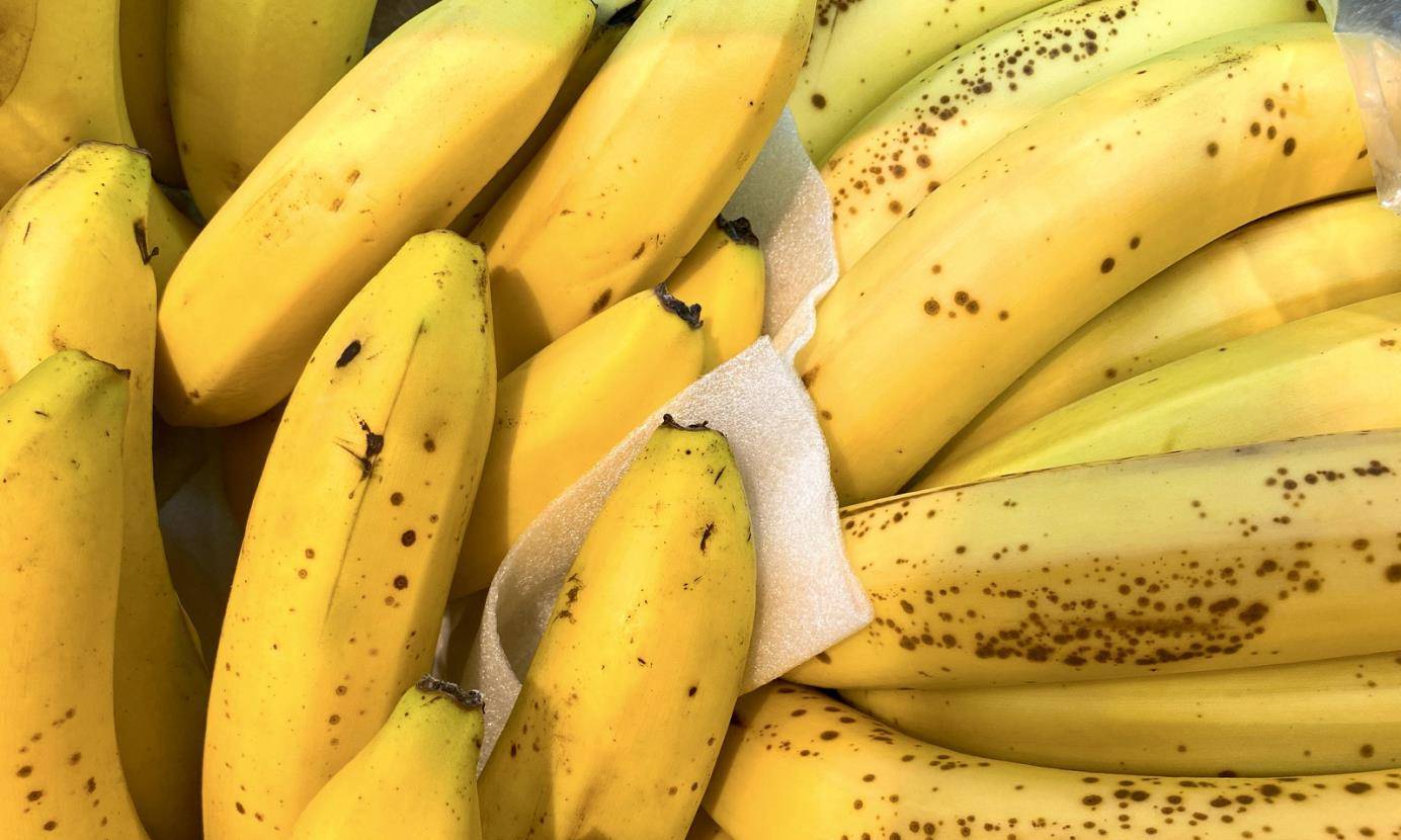香蕉什么时候最便宜 a3c1beeb46cd4d3e8e964c640781796d.jpeg