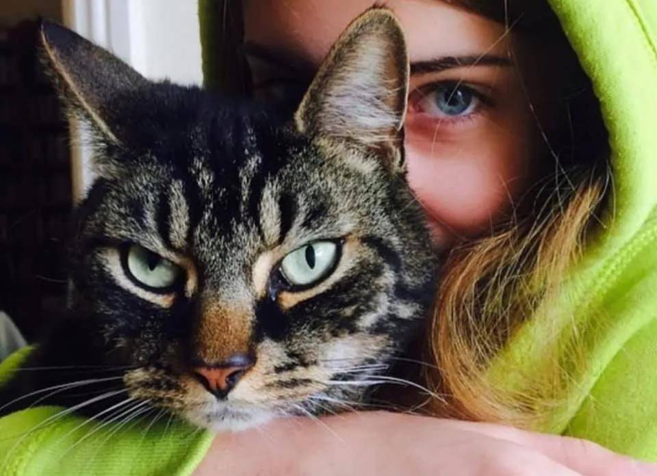 Zico|主子带一整包猫零食回家，妈傻眼：附近没人养猫啊！哪来得零食？