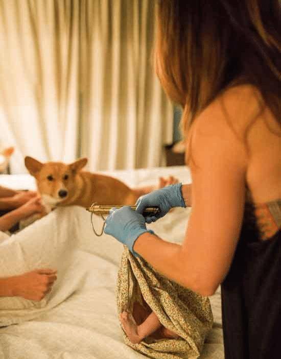 宠物主人在家中生产,没意识到柯基犬从未离开过她的身边! 宠物主人在家中生产,没意识到柯基犬从未离开过她的身边!
