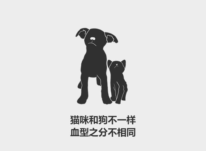 637c4991eb0249f9860bb4957d04da80.jpeg