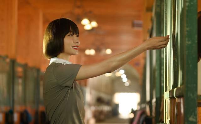 情节|豆瓣4.7，《北辙南辕》像一道色泽好看的菜，但无法抓住味蕾