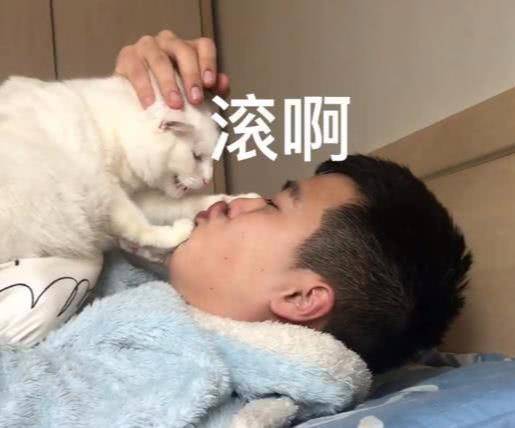 想要亲一口猫,猫咪的反应果然不出所料,主人按住猫头后就后悔了 想要亲一口猫,猫咪的反应果然不出所料,主人按住猫头后就后悔了