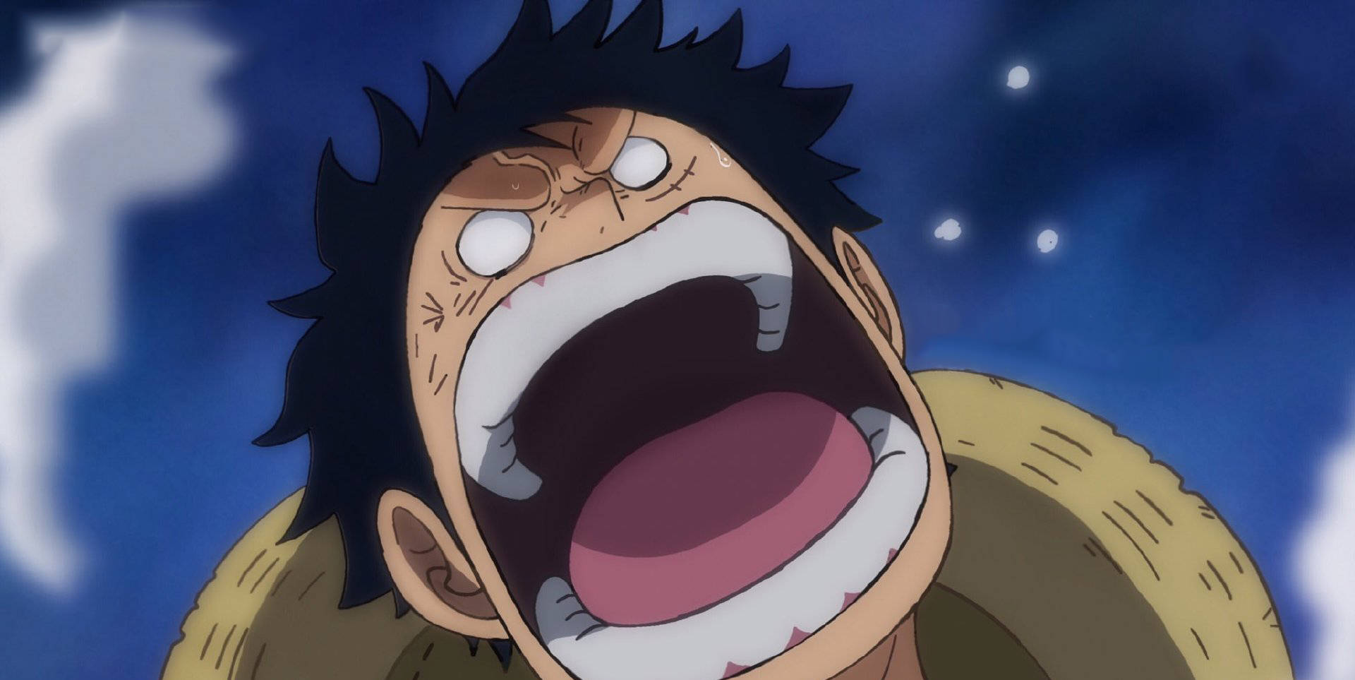 海贼王:海米做出凯多方"成就图",大妈mvp,奎因"留名青史"