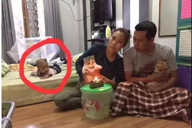 女儿跟蓝猫在地板上玩耍,经过鲜明对比之后,网友调侃道:“猫才是亲生的吧! 女儿跟蓝猫在地板上玩耍,经过鲜明对比之后,网友调侃道:“猫才是亲生的吧!