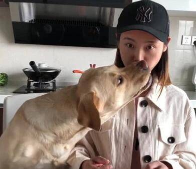 心生|女主吃零食不给狗狗吃，狗狗心生一计，随后做出的事情让主人恶心！