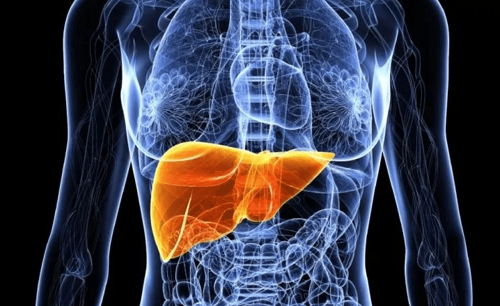 常怒|肝脏不好的人,早起会亮起这4个“红灯”!若你都没有,还算幸运