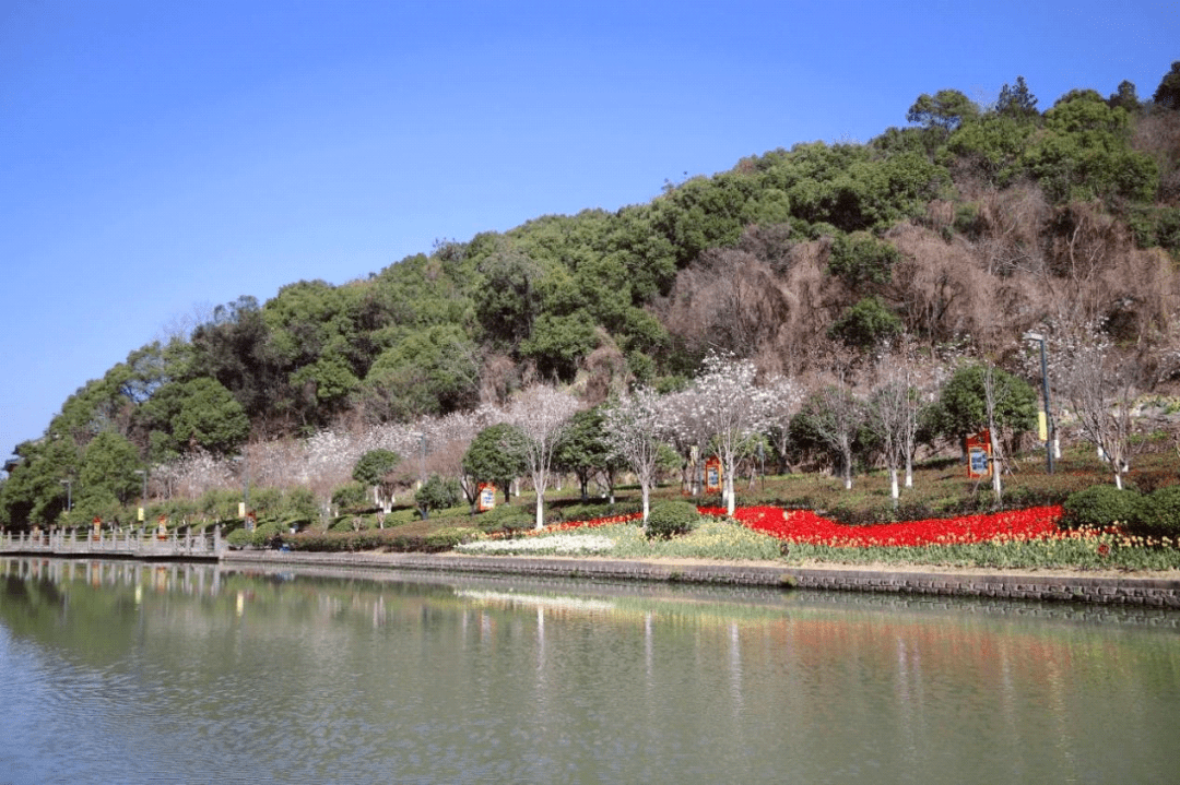 温州市区总价约52万起?这个s1线旁公寓项目不可小觑