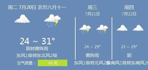 21年7月日衡水的天气 东风
