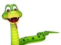 蛇是靠什么走路的 6d12e359be3a4c5bb5b914d8a7753095.jpeg