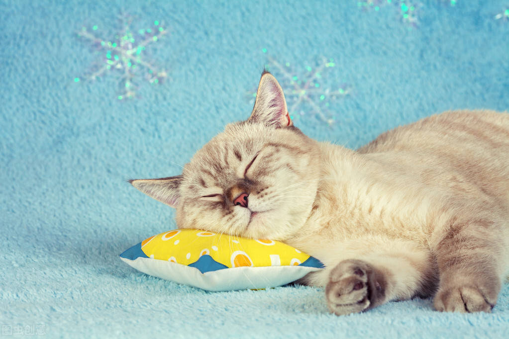 时间|来势汹汹的肝硬化怎么预防,医生:这几点做到了,有机会躲过去