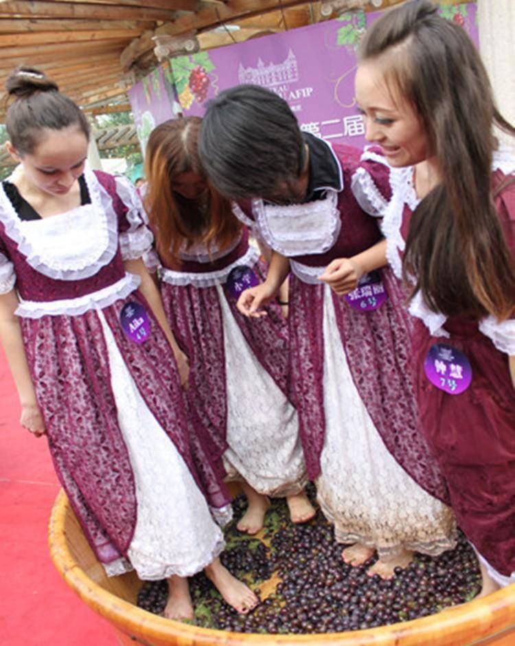 机器|为什么“少女光脚”能踩出顶级葡萄酒?原来有这好处,真是涨见识