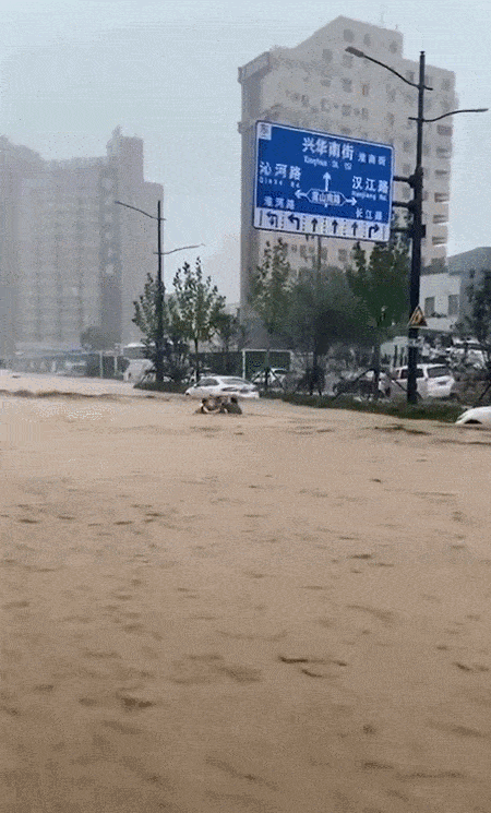 郑州遭遇千年一遇大暴雨(附自救指南)