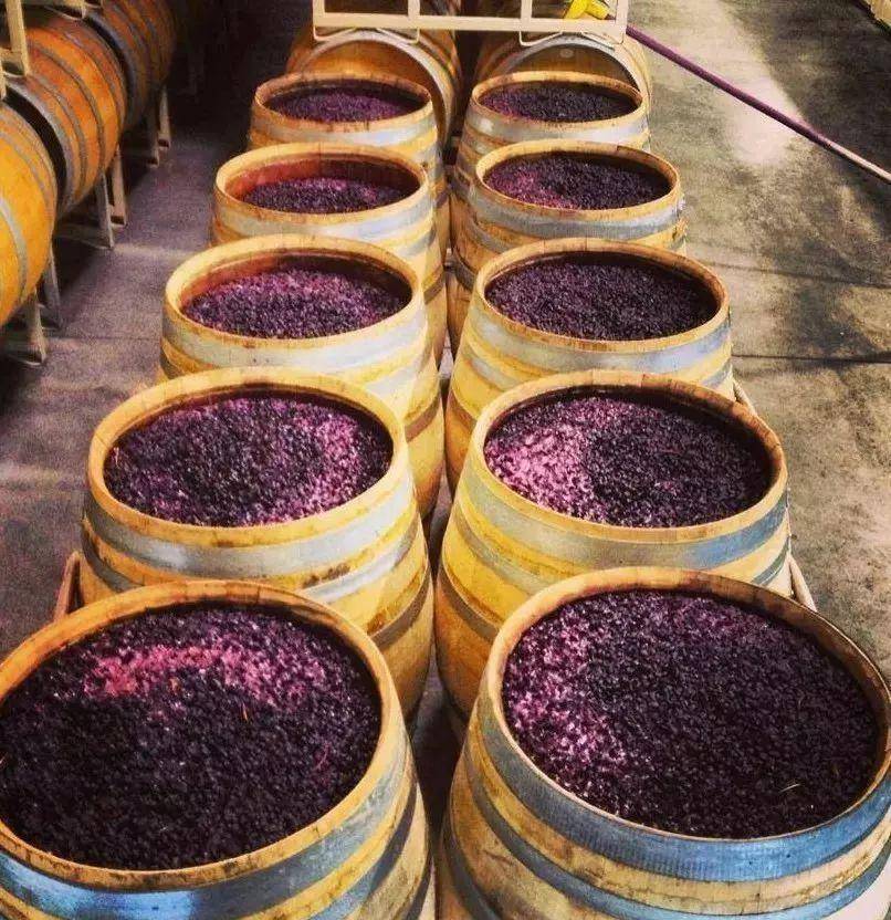 机器|为什么“少女光脚”能踩出顶级葡萄酒?原来有这好处,真是涨见识