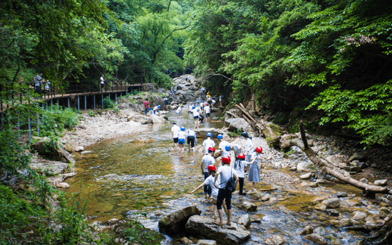 “醉”在山野 山海汇王封山来一场洗肺润心之旅