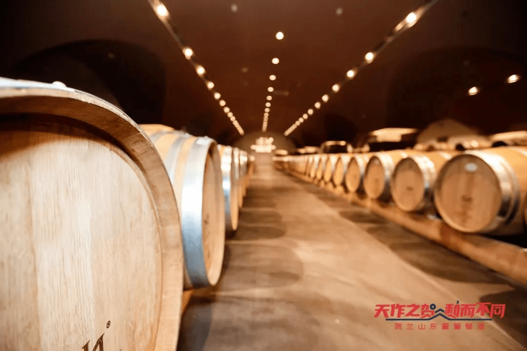 阳阳|收官之站！中国贺兰山葡萄酒探索之旅—酒庄庄主代表访谈