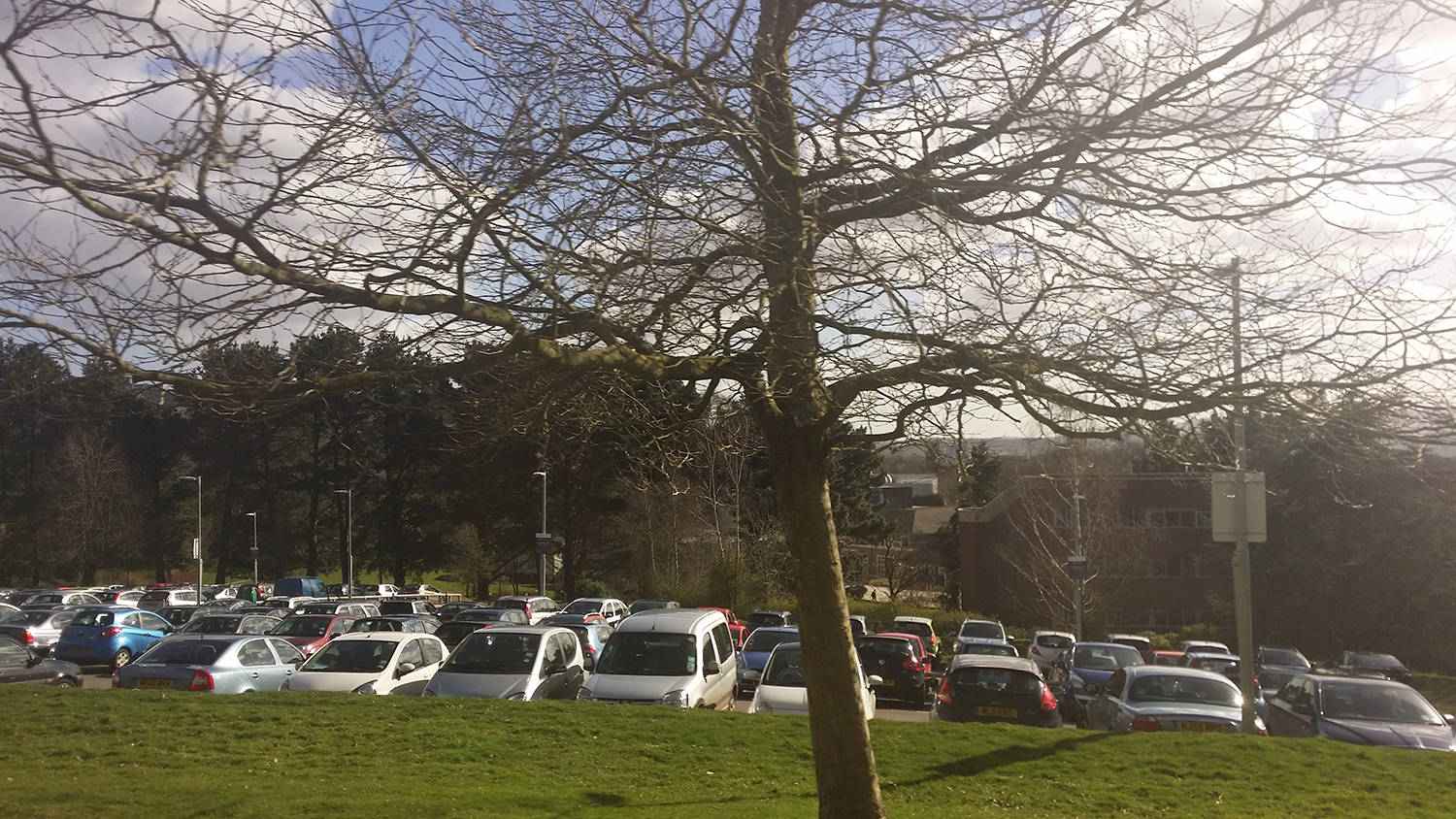 qs世界大学排行_QS2022世界大学排名