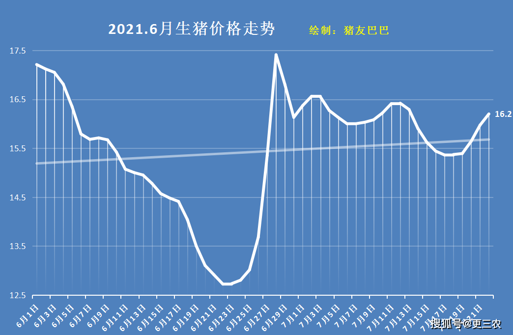 進入7月下旬,生豬價格止跌,行情呈現