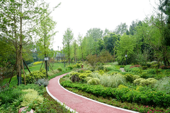 乐至县就以羊叉河为纽带,覆盖劳动镇崇古,百花,旧居,庙山4个村,规划