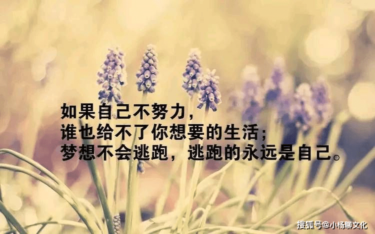 21869f66f0dd4c2d9b310ec1bc5d7858.png
