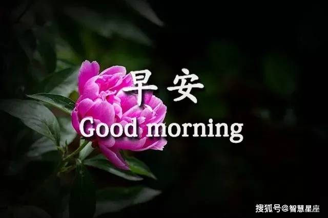 54334460744948ab893c3fd66fff7b78.jpeg