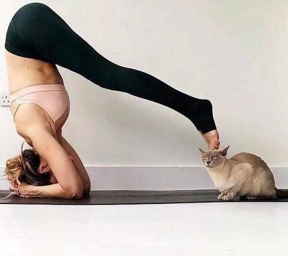 体重|早上这7个坏习惯，小心越来越胖，健康减肥才是硬道理