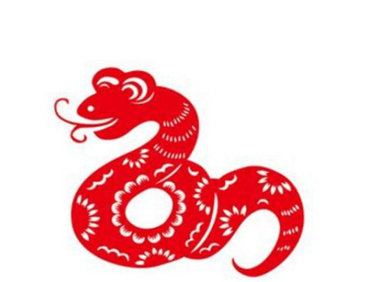 属蛇人什么颜色比较旺 71d0392c4c9e4b57b86e497dead725a9.png