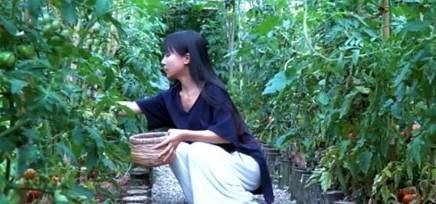 干果|以前小孩当零食，农村满山随便摘，如今价格猛涨，一斤上百元