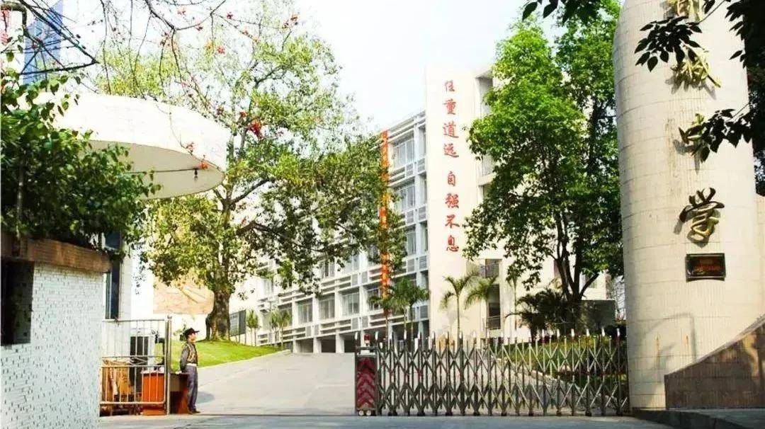 番禺热门公办学校分布_番禺区的学校_市桥热门小学地段划分