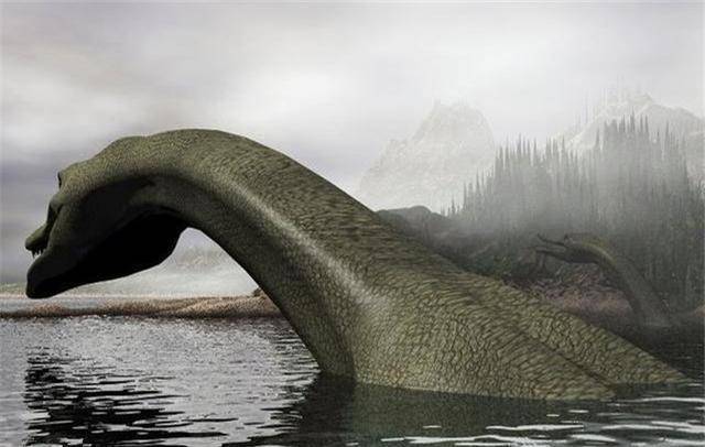 这只身长15米，行动缓慢的长脖怪，就是传说中的尼斯湖水怪？