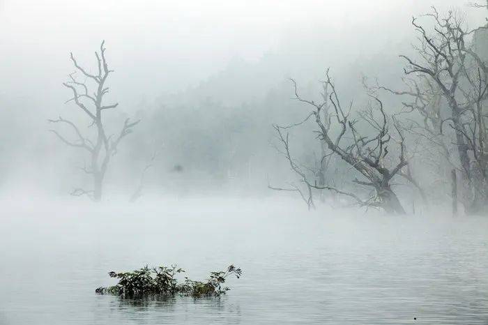 角色|为什么柳岩，越精致越被嘲“俗和土”，越“破败”反而愈加精彩？