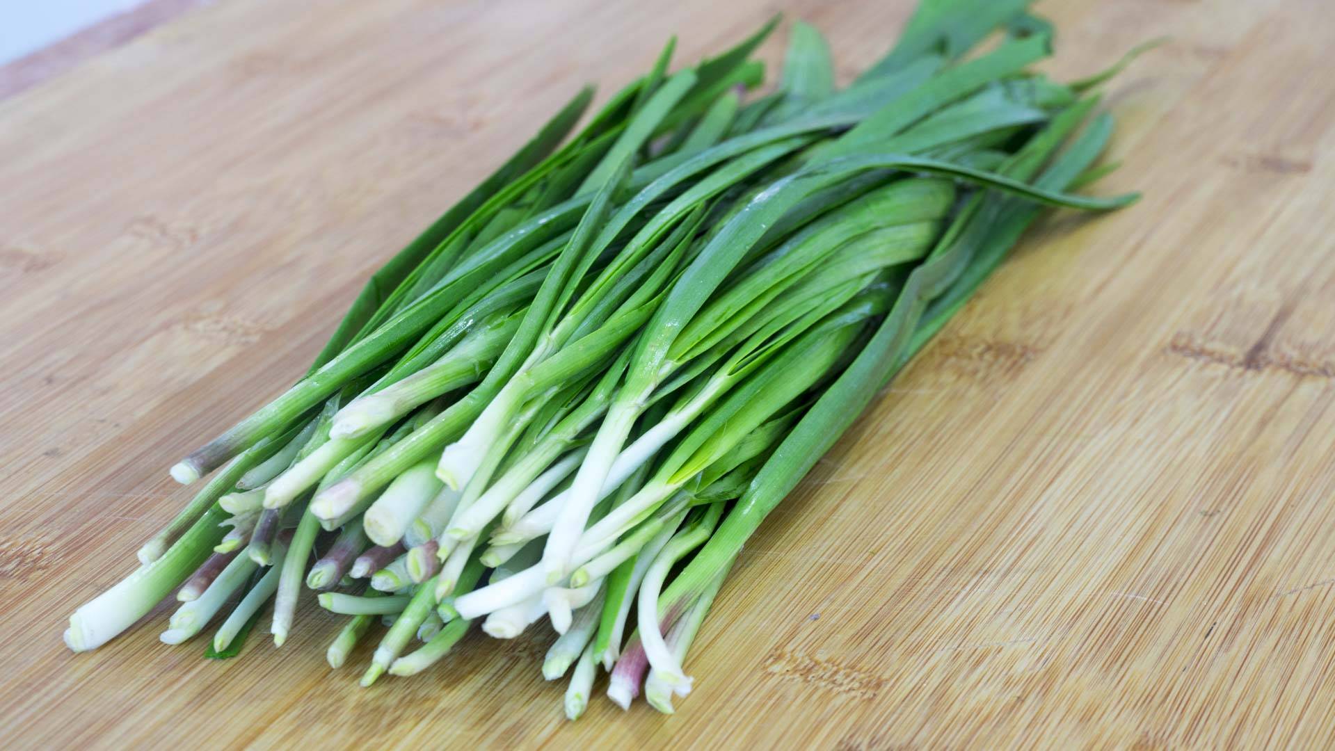 葱花|早餐别吃包子面条了，6道营养早餐，全程手不沾面