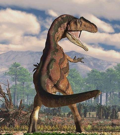 1.5亿年前，一群恐龙以每秒七米的速度从这里跑过
